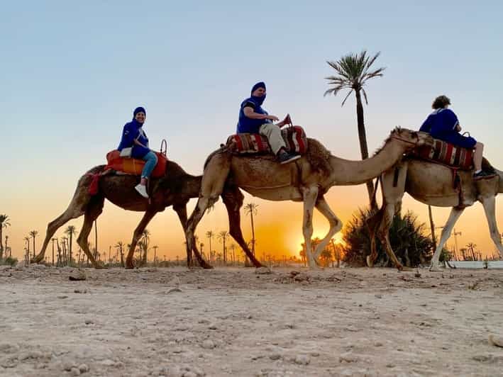Palmeraie de Marrakech coucher de soleil à dos de