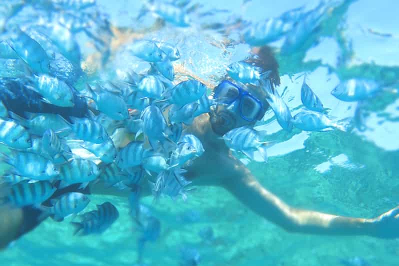 Ab Hurghada Schnorcheln mit Mittagessen in der Orange Bay GetYourGuide