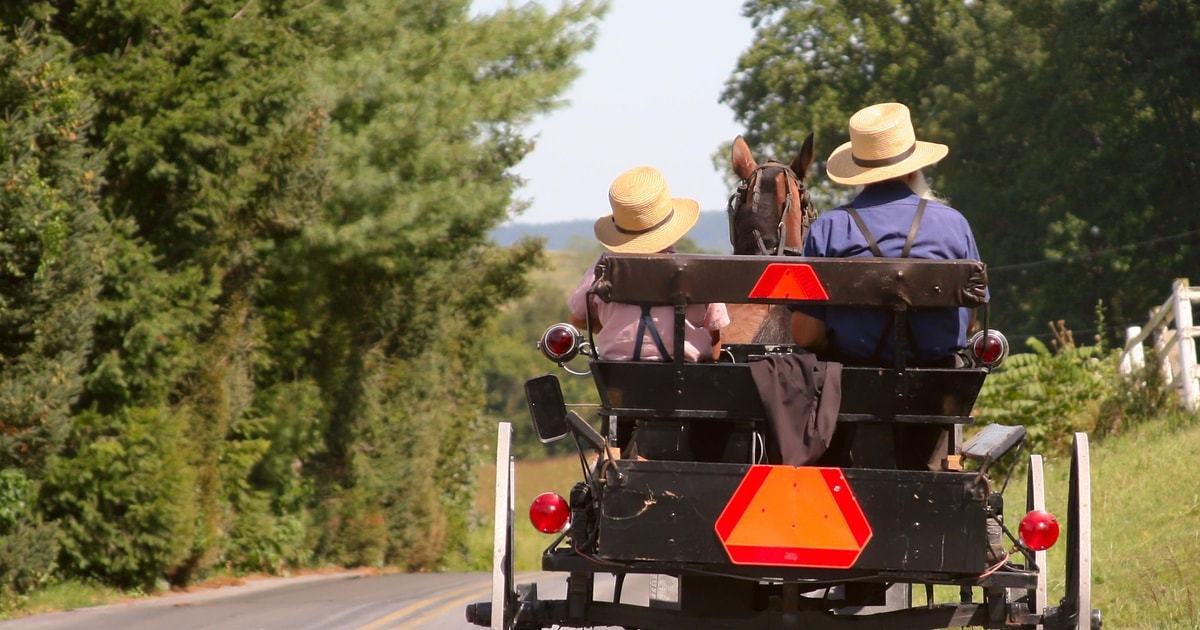 Lancaster County Amish Farmlands, Museumsbesuch, Farmbesuch GetYourGuide