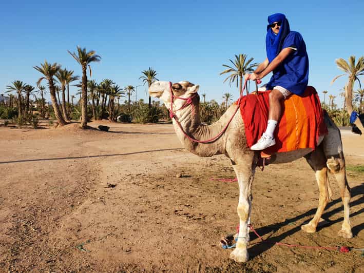 Marrakech balade en chameau au coucher du soleil