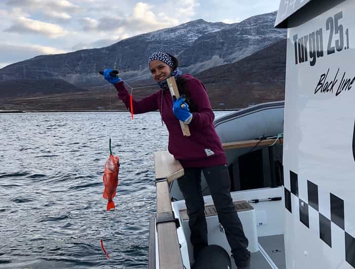 Nuuk 3stündiger Angelausflug GetYourGuide