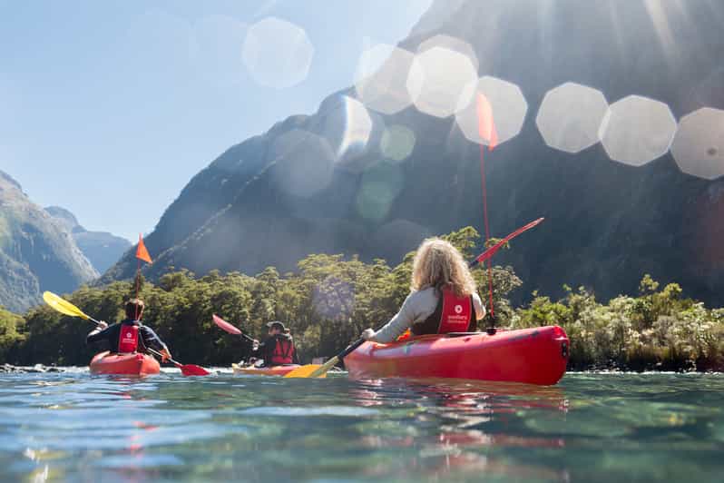 Cruise & Kayak Milford Sound GetYourGuide
