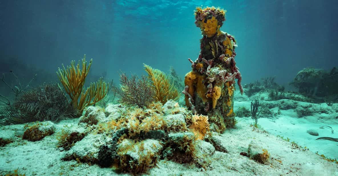 Cancun Schnorcheltour im MUSA The Underwater Museum GetYourGuide