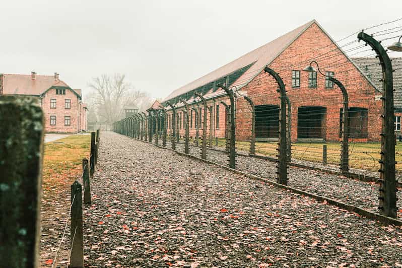 Ab Krakau AuschwitzBirkenau Eintrittskarte und privater Transfer