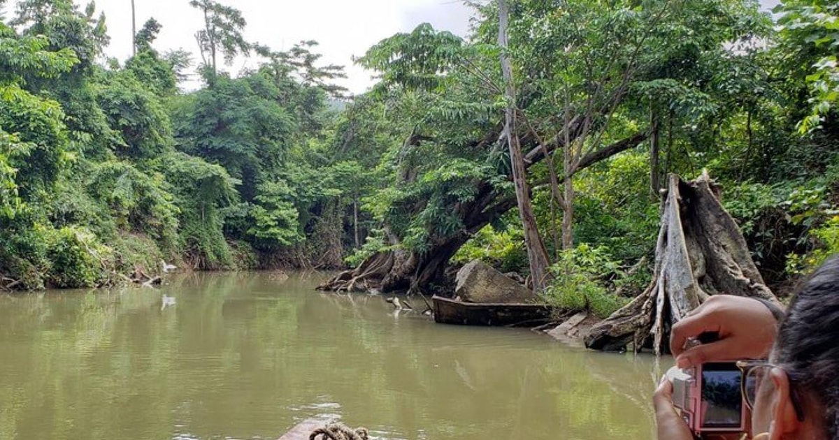 Roseau Indian River en Fort Shirley Tour met lunch GetYourGuide