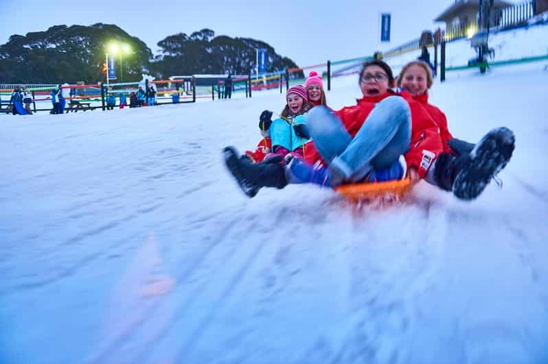 From Melbourne Day Trip to Mount Buller Resort by Bus GetYourGuide