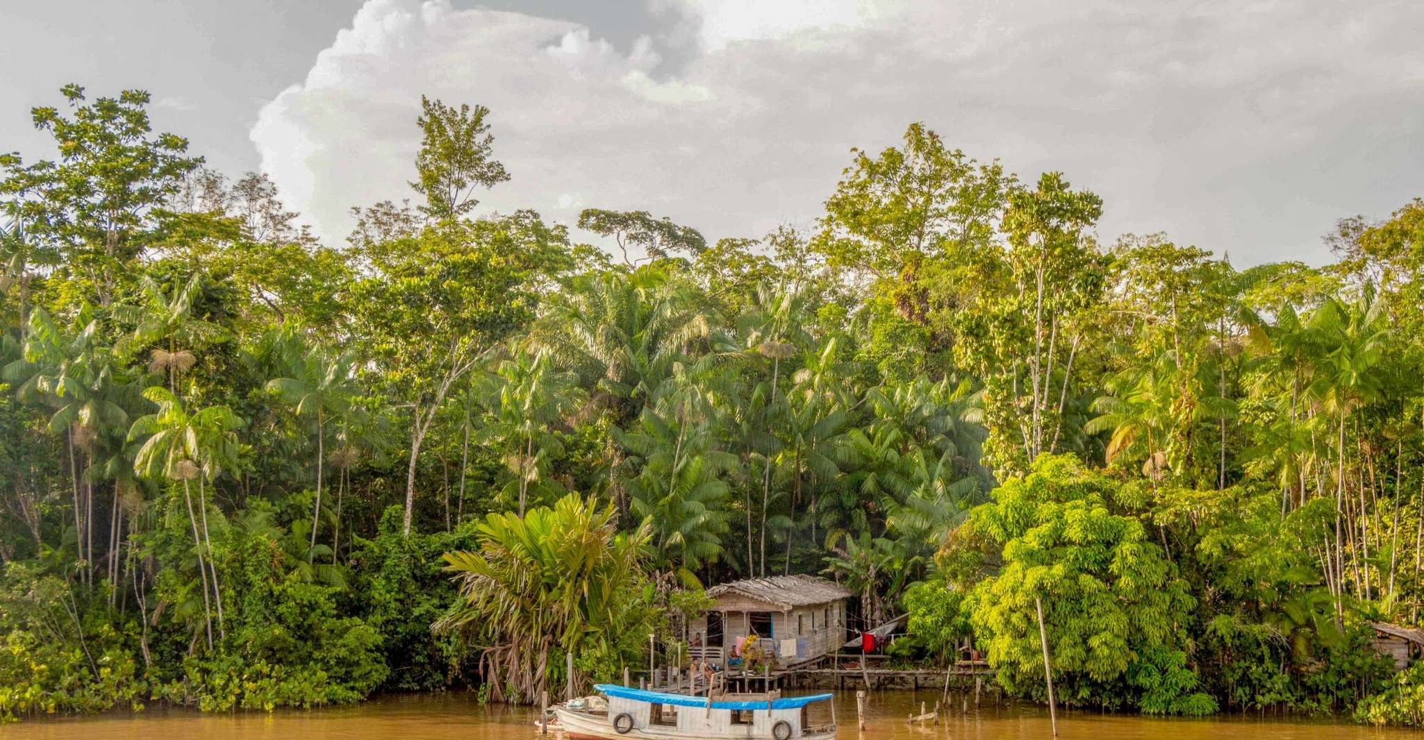 Manaus, 2, 3 or 4Day Amazon Jungle Tour in Anaconda Lodge SuiteTrails