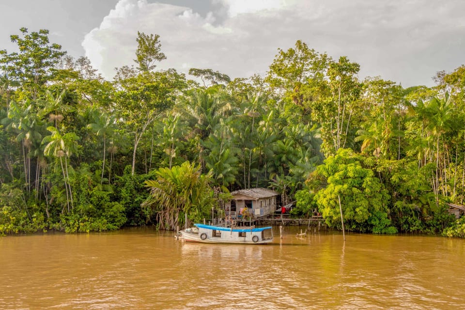 Manaus 2, 3 or 4Day Amazon Jungle Tour in Anaconda Lodge GetYourGuide