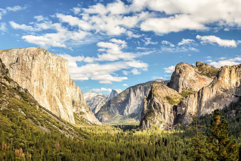 From San Francisco Yosemite Private FullDay Trip GetYourGuide