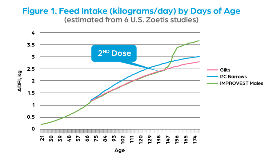 Nutritional specifications for pigs receiving IMPROVEST® The Pig Site
