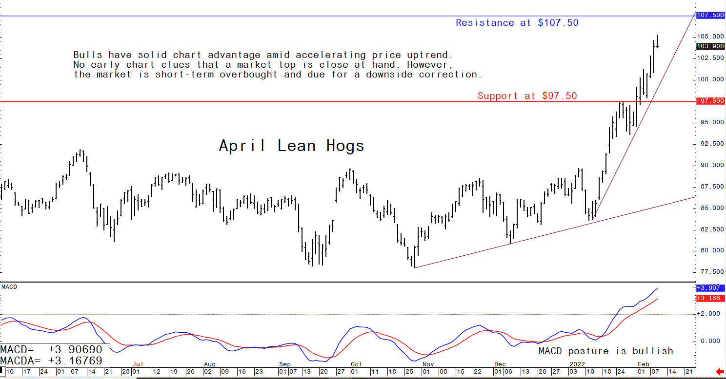 Pig outlook Powerful rally in US lean hog futures