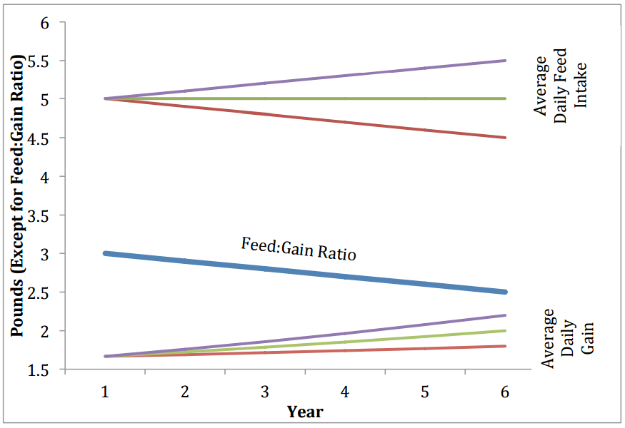 Feed Intake, Growth, and Feed Conversion What Does it All Mean? The