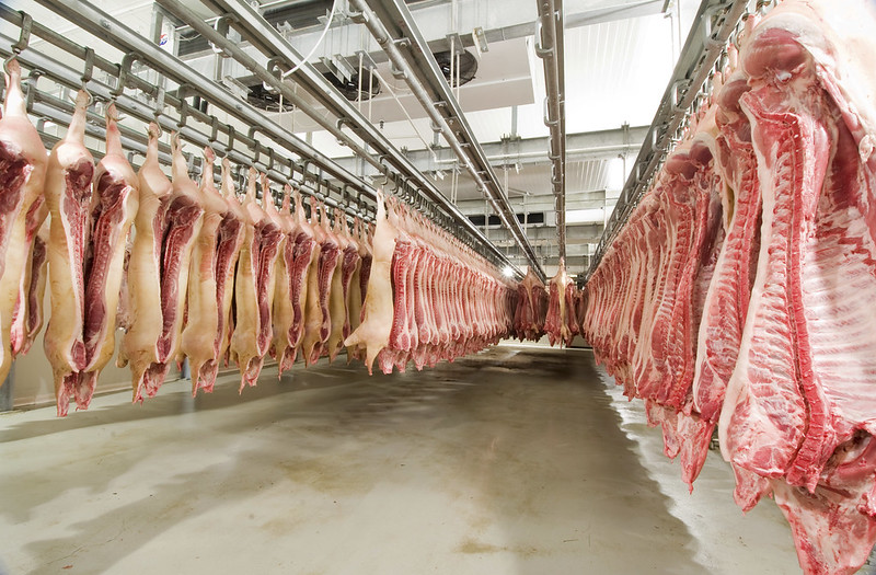 US House panel requests reports from meat processors on rising prices