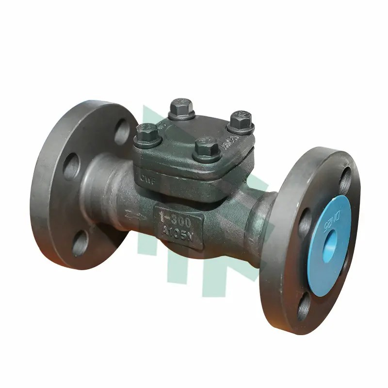 Forged Check Valves,RF,SW,BW,NPT,PSB,BB