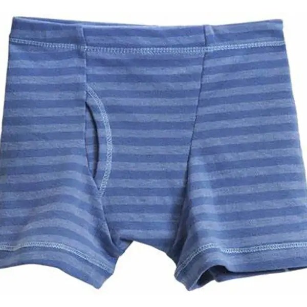 China Best Underwear Teen Boys Briefs Manufacturers Primary Organic