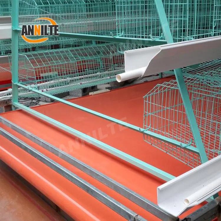 China Annilte Professional conveyor belt for raising chickens, ducks