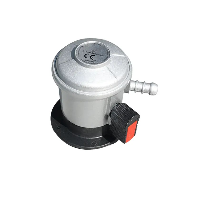 Wholesale Garden Pizza Oven Gas Manufacturer and Supplier, Factory