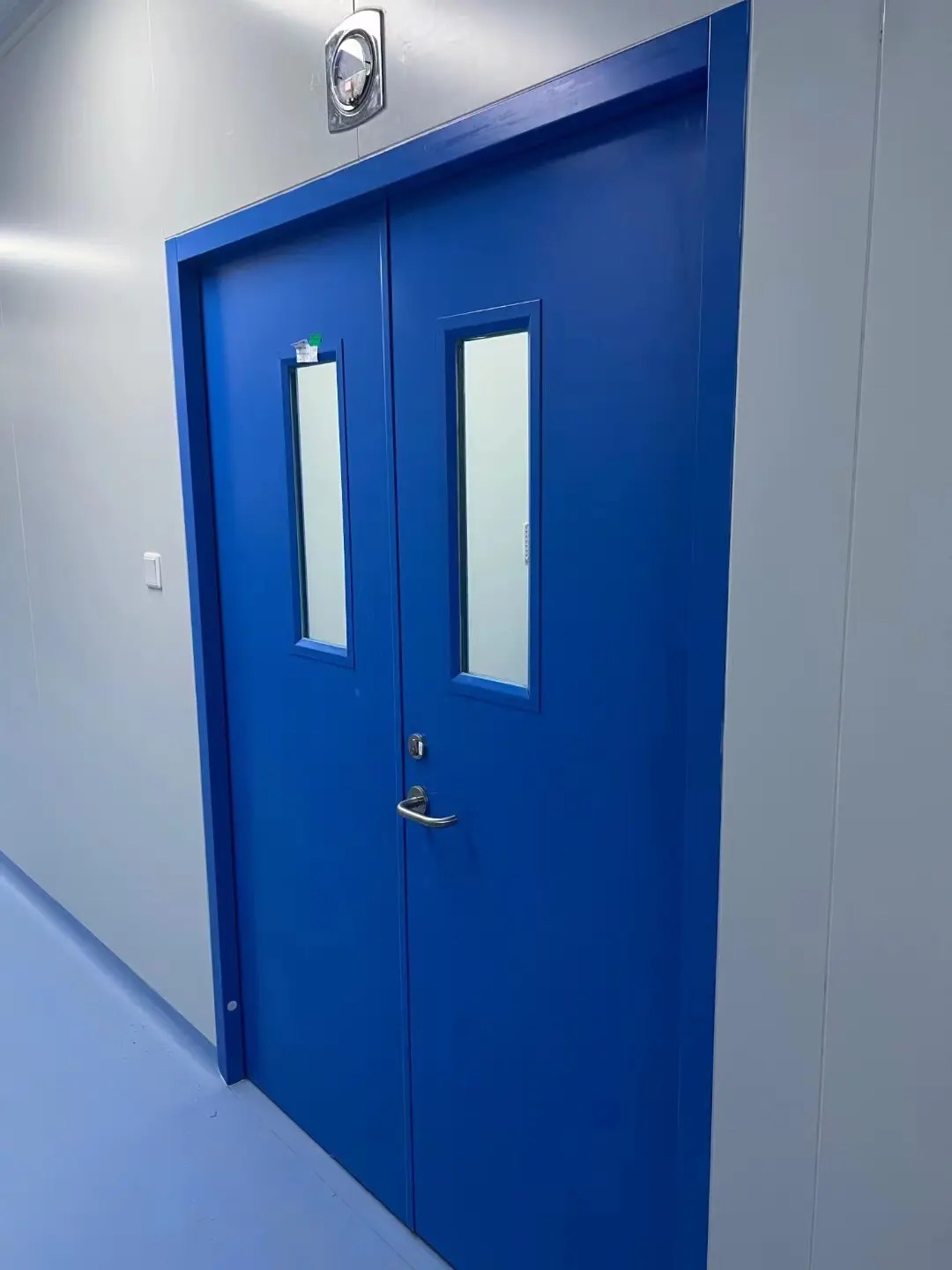 Clean Room Coated Steel Door Manufacturer and Supplier BSL