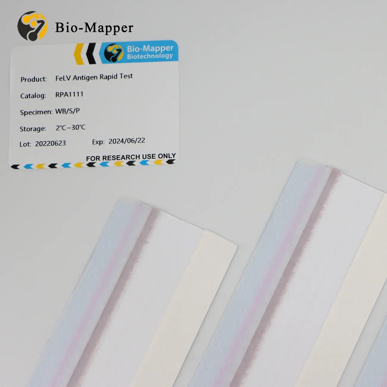 Best Best Cheap Tb 38 Antigen Pricelist FeLV Antigen Rapid Test Bio