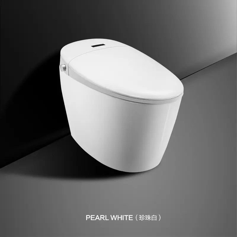 China Famous Best Clean Toilet Factory Auto Flush Smart Toilet with