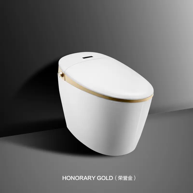 China Famous Best Clean Toilet Factory Auto Flush Smart Toilet with