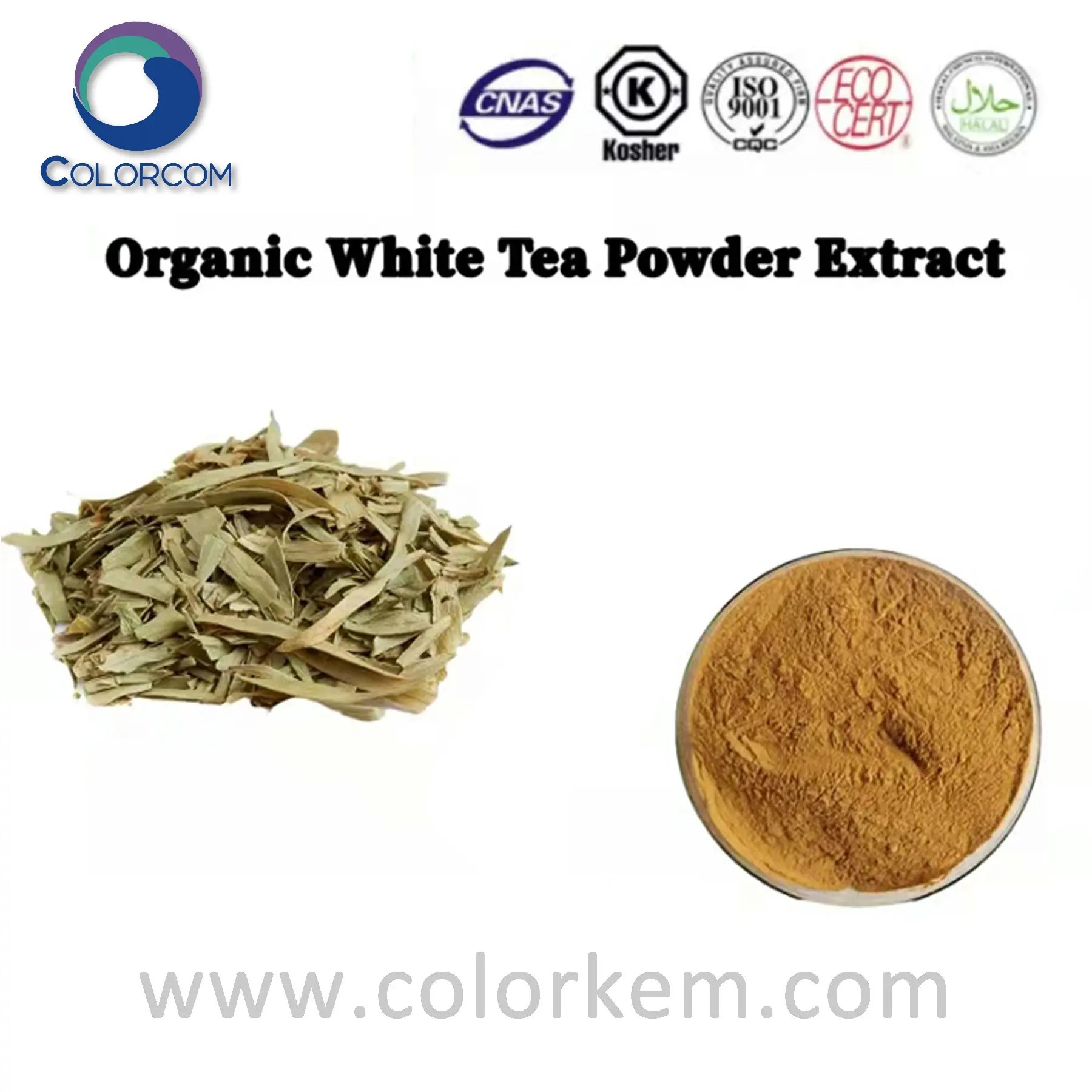 High Quality Green Tea Extract Manufacturer and Supplier, Factory