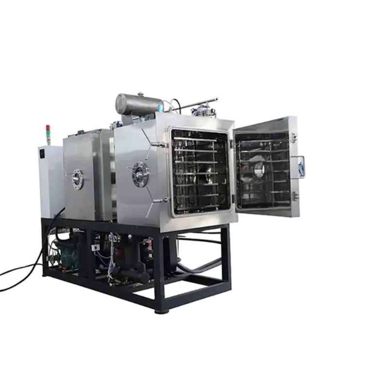 Wholesale Diy Freeze Dryer Manufacturer and Supplier, Factory Dscientz