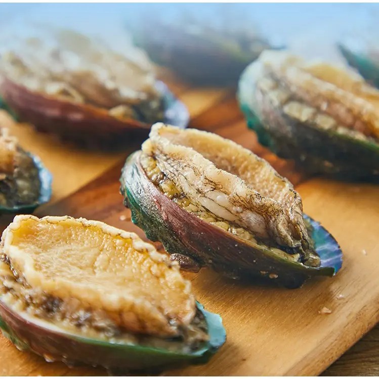 Wholesale FROZEN BOILED ABALONE with shell and viscera Factory and