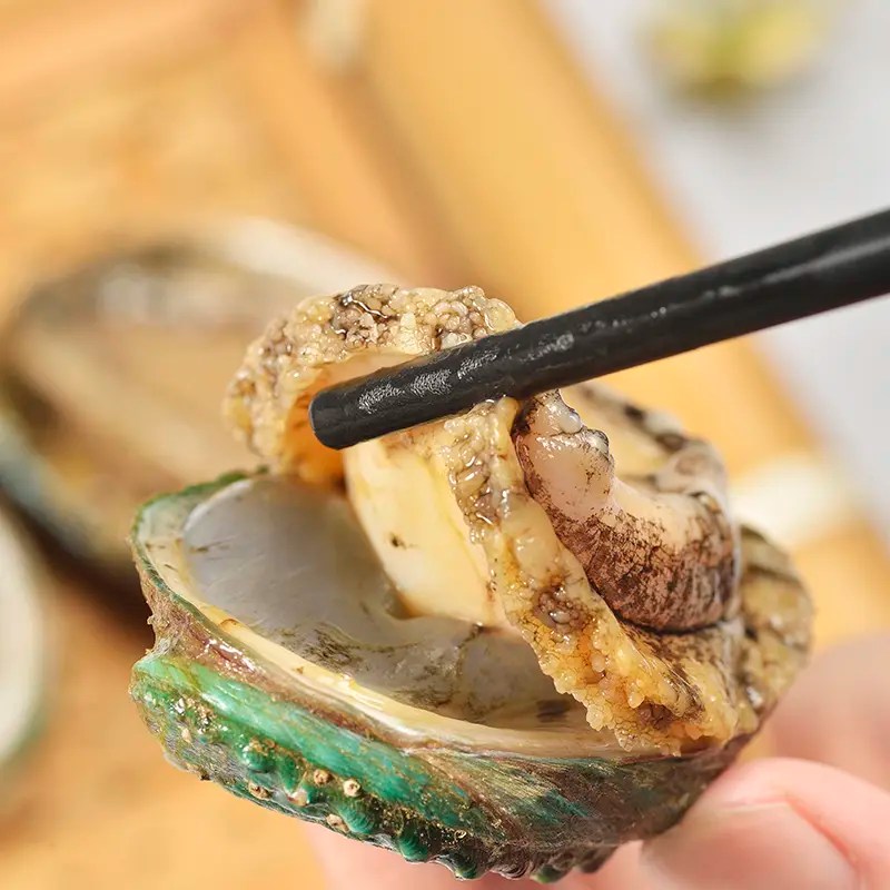 Wholesale FROZEN BOILED ABALONE with shell, remove viscera Factory and