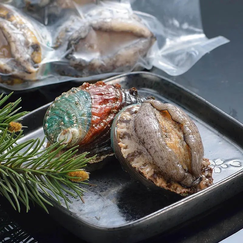 Wholesale FROZEN ABALONE fresh, with shell and viscera Factory and