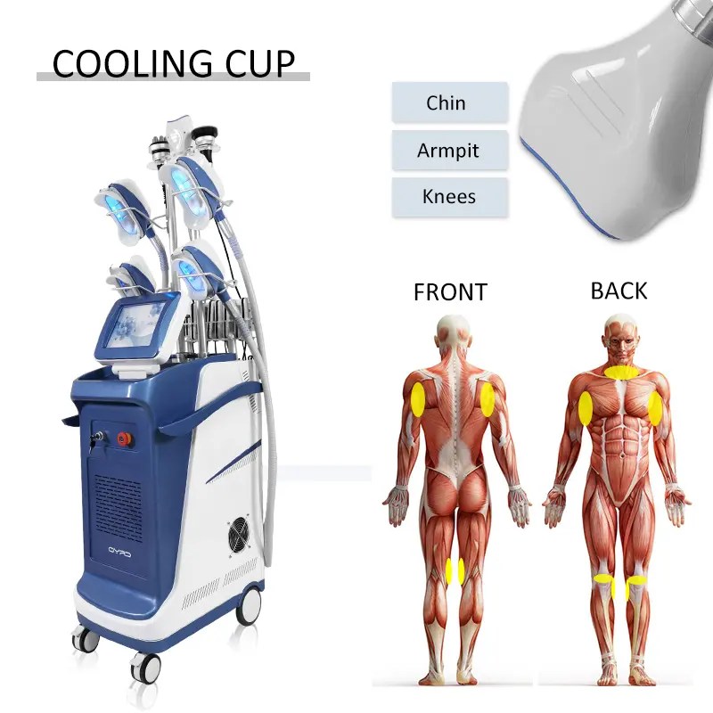 China Cool sculpting 4 Handles fat loss Machine Manufacture and Factory