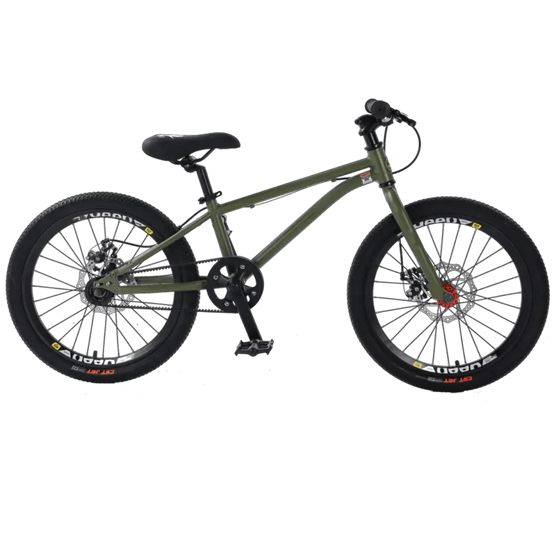 China Electric Motorbike For Adults Manufacturer and Supplier, Factory