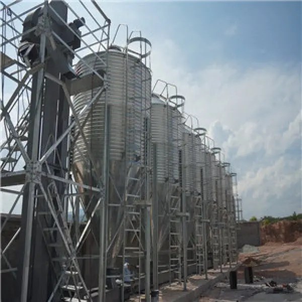 China Farm silo feed bins Manufacturer and Supplier Goldrain