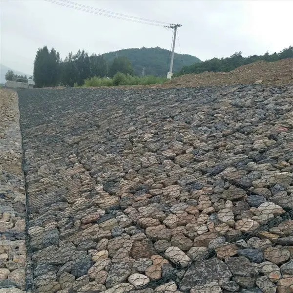 Wholesale Green terramesh Gabion Retaining Wall Manufacturer and