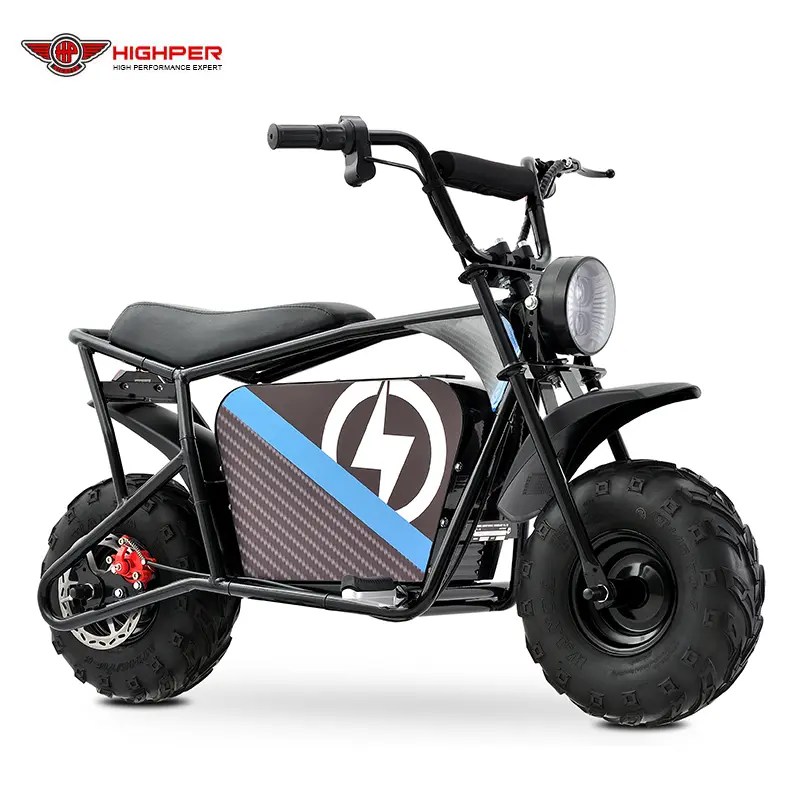 China Off Road Electric Mini Bike 1000w 48v Manufacturer and Exporter