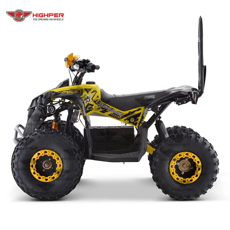 China 2000w Kids Adults Electric ATVS Cuatrimoto Electric Quad Four Wheeler Manufacturer and