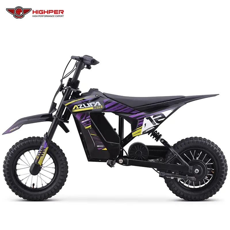 High Quality Electric Mini Motorbike Manufacturer and Supplier