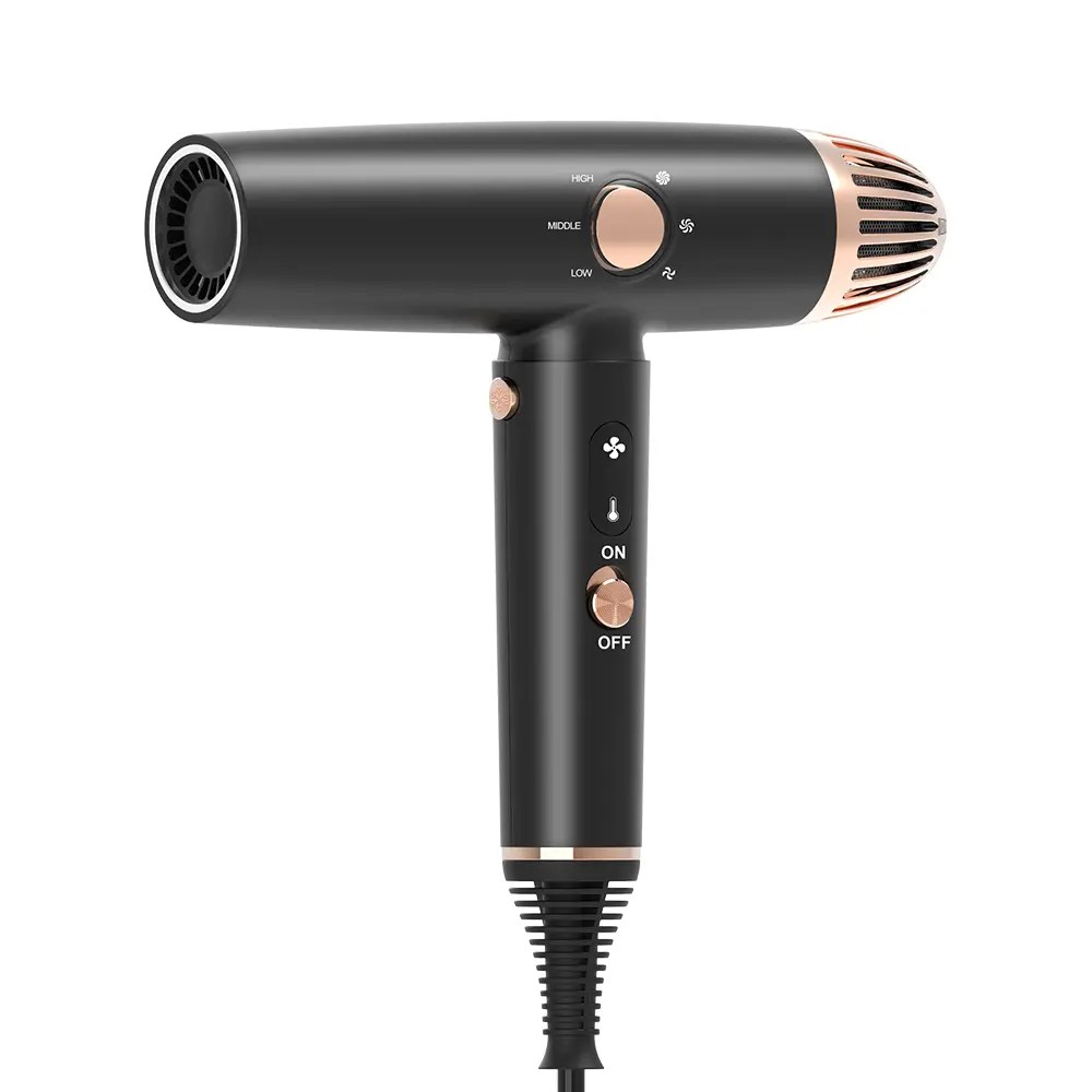 LS082A Professional Brushless Hair Dryer Negative Ion Hot Cold Air