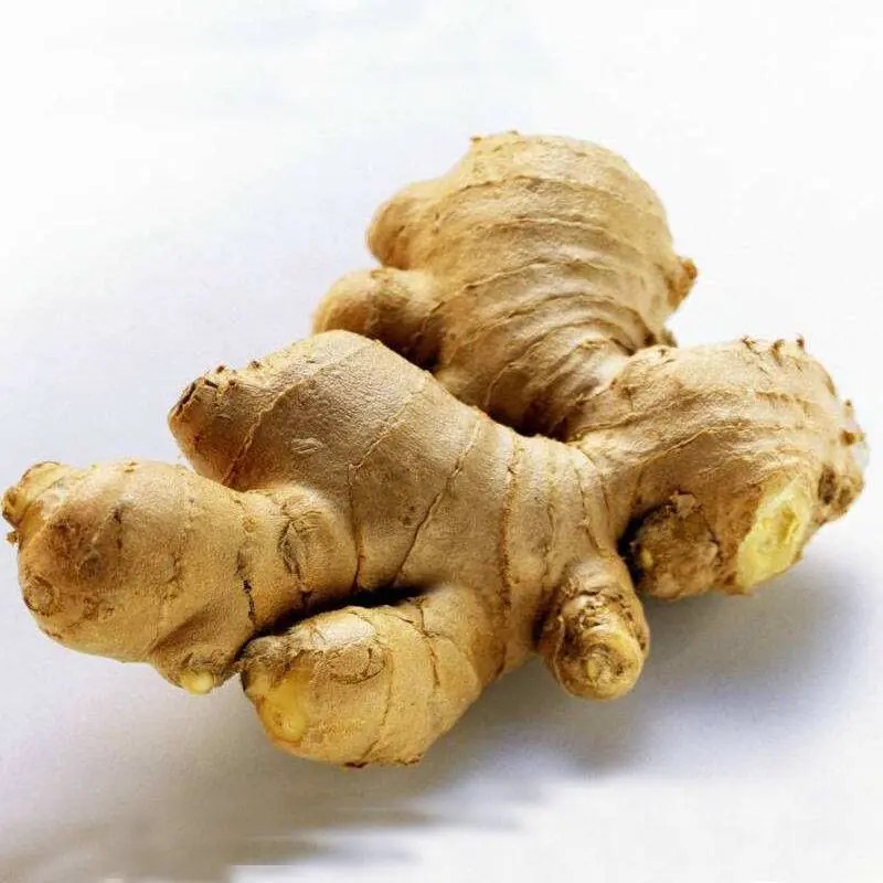China Factory wholesale 1 Tsp Fresh Ginger To Ground Ginger Fresh