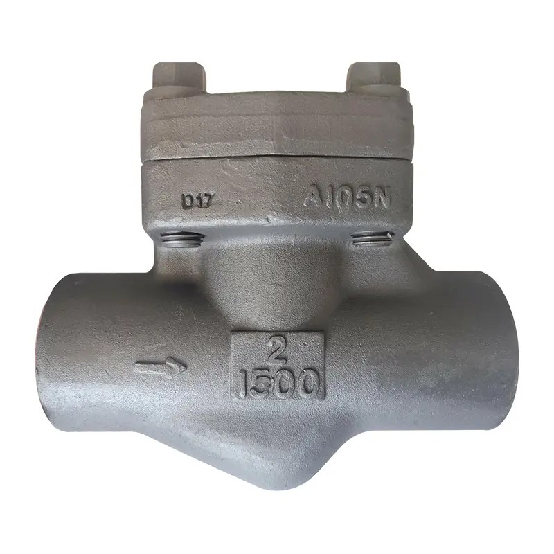 China Api Cryogenic Flanged Gate Valve API 602 piston check valve