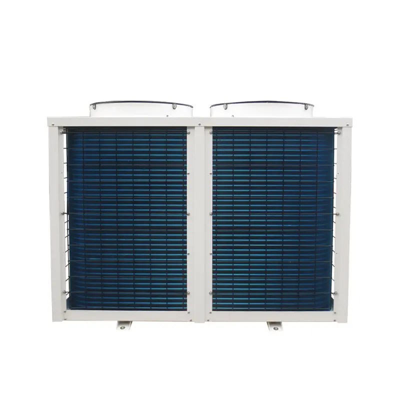 China 2022 China New Design Pool Chiller 55kw Vertical Single Phase