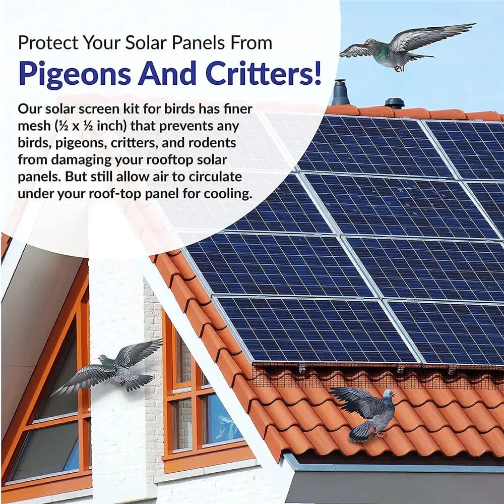 Best Good User Reputation for Do Solar Panels Attract Pigeons 