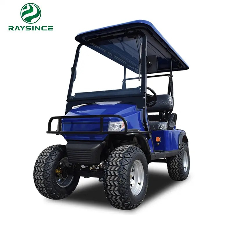 Best quality Portable Electric Golf Cart GCD1200 Raysince latest model two seats electric