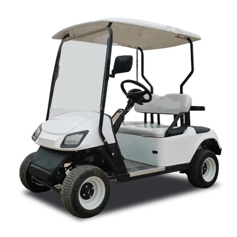 Massive Selection for Enclosed Electric Golf Cart GCM1200 Electric