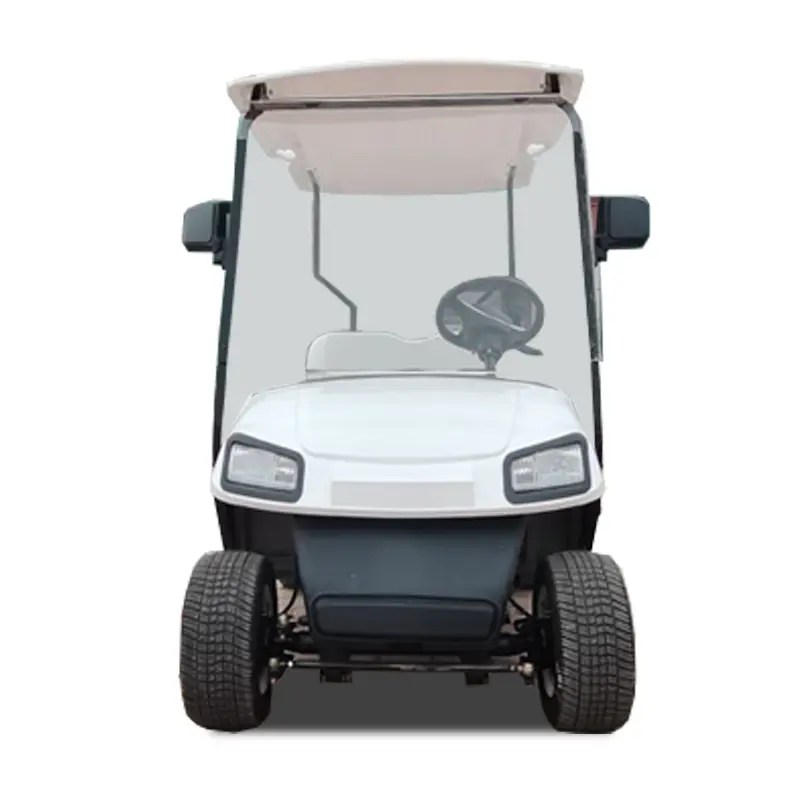 Massive Selection for Enclosed Electric Golf Cart GCM1200 Electric