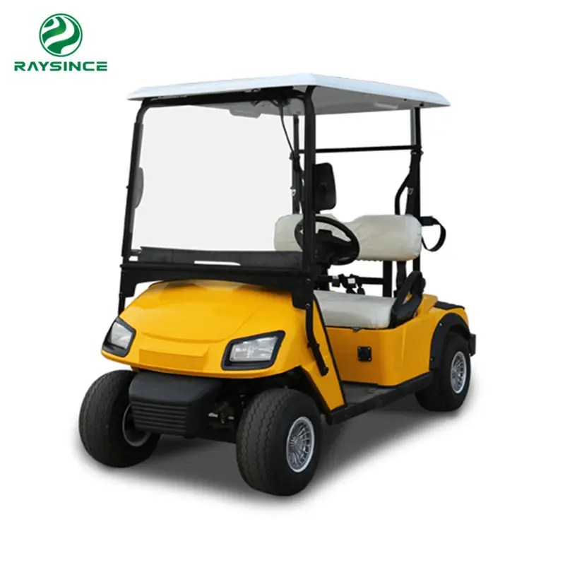 Massive Selection for Enclosed Electric Golf Cart GCM1200 Electric