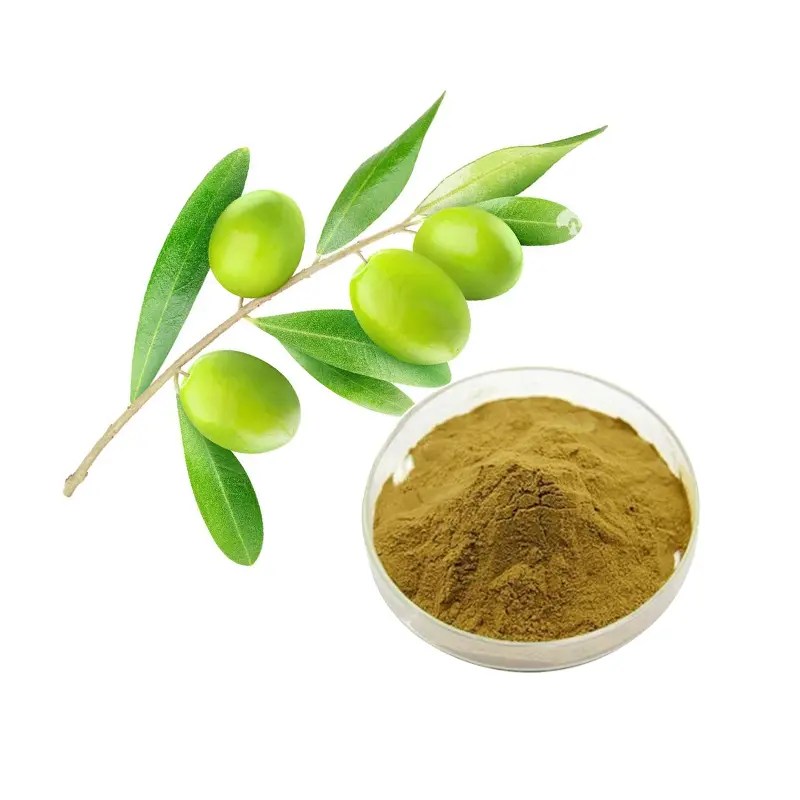 China Olive Leaf Extract Factory and Suppliers, Manufacturers Factories
