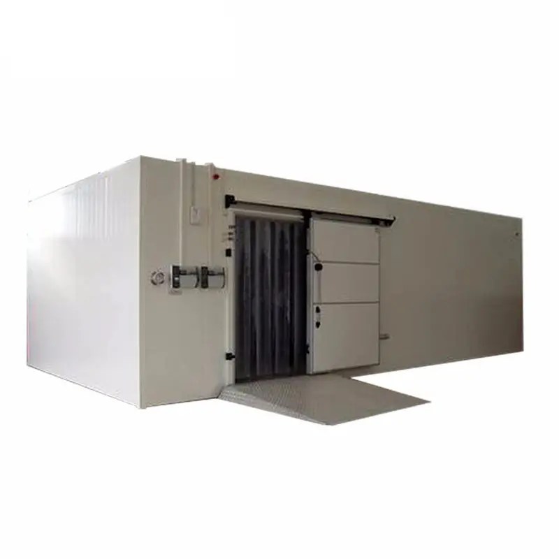 Best High Performance China Runte Factory Price Cold Storage Room Walk