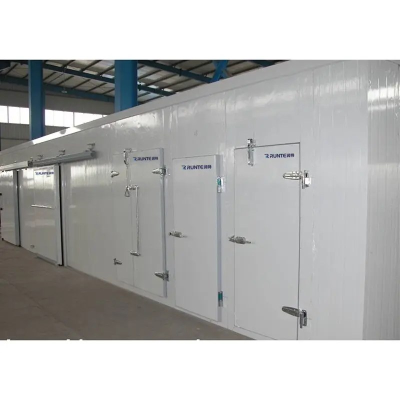 Best Fruit And Vegetable Cold Room Storage Manufacturer and Factory Runte