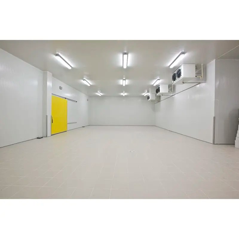 Best 2021 China New Design Cold Storage Room Door Fruit And Vegetable